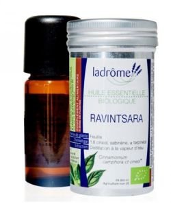 Ravintsara (Cinnamomum camphora ct cineol)